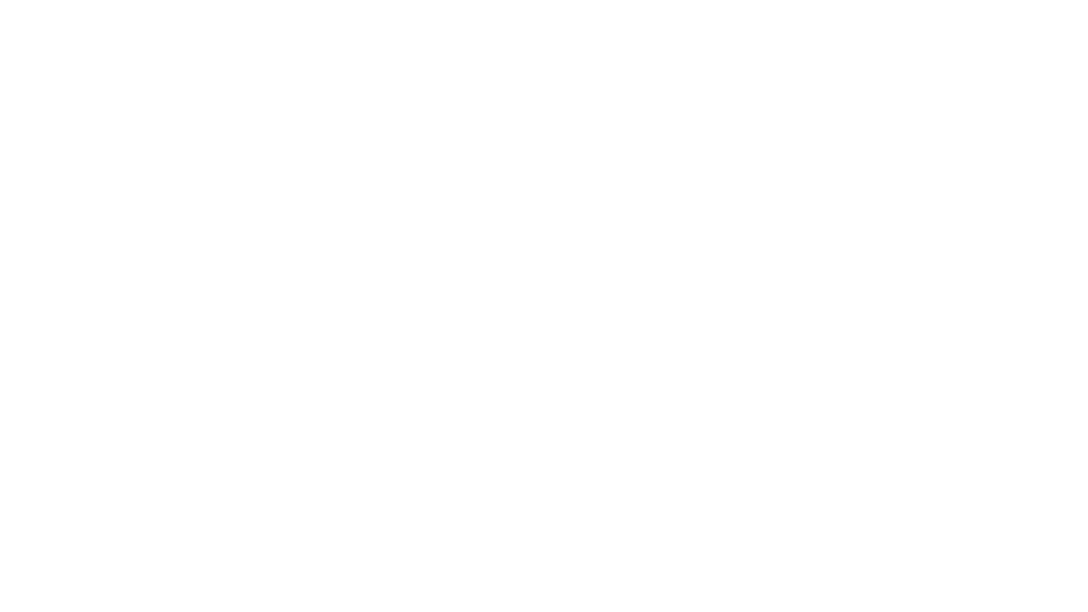 b1146ad318d5.png.webp.png