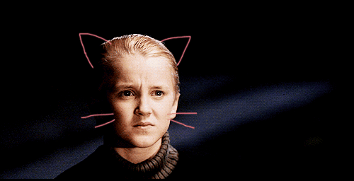 b2568e20328938e4286ee907762bf4e4.gif