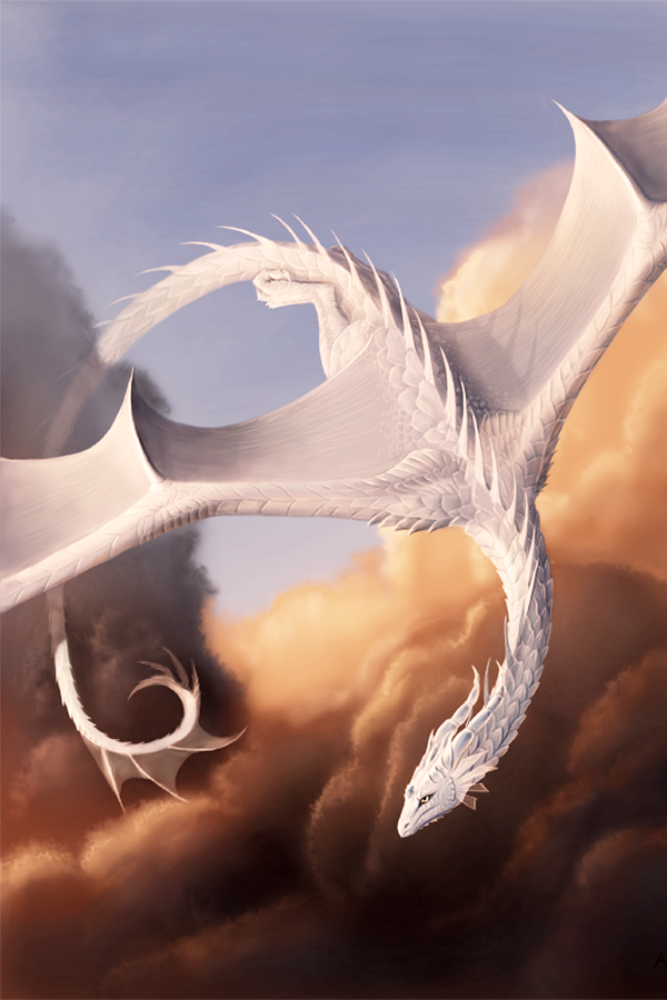 c0d26e2f5808.png.webp.png