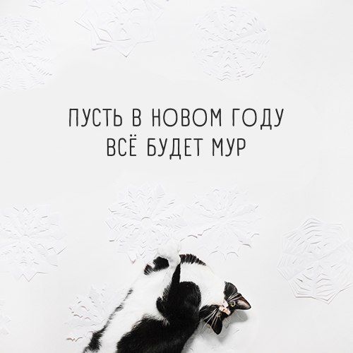 C1B_P1FWgAEEg6f.jpg.jpeg