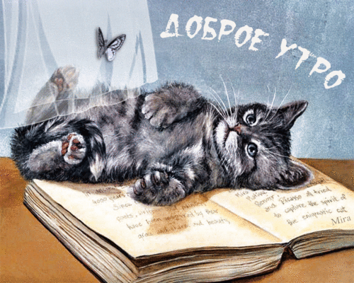 Доброе утро. Котенок на книге.gif