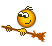 e165c7b70b3cae13be3f7632dde406f4.gif