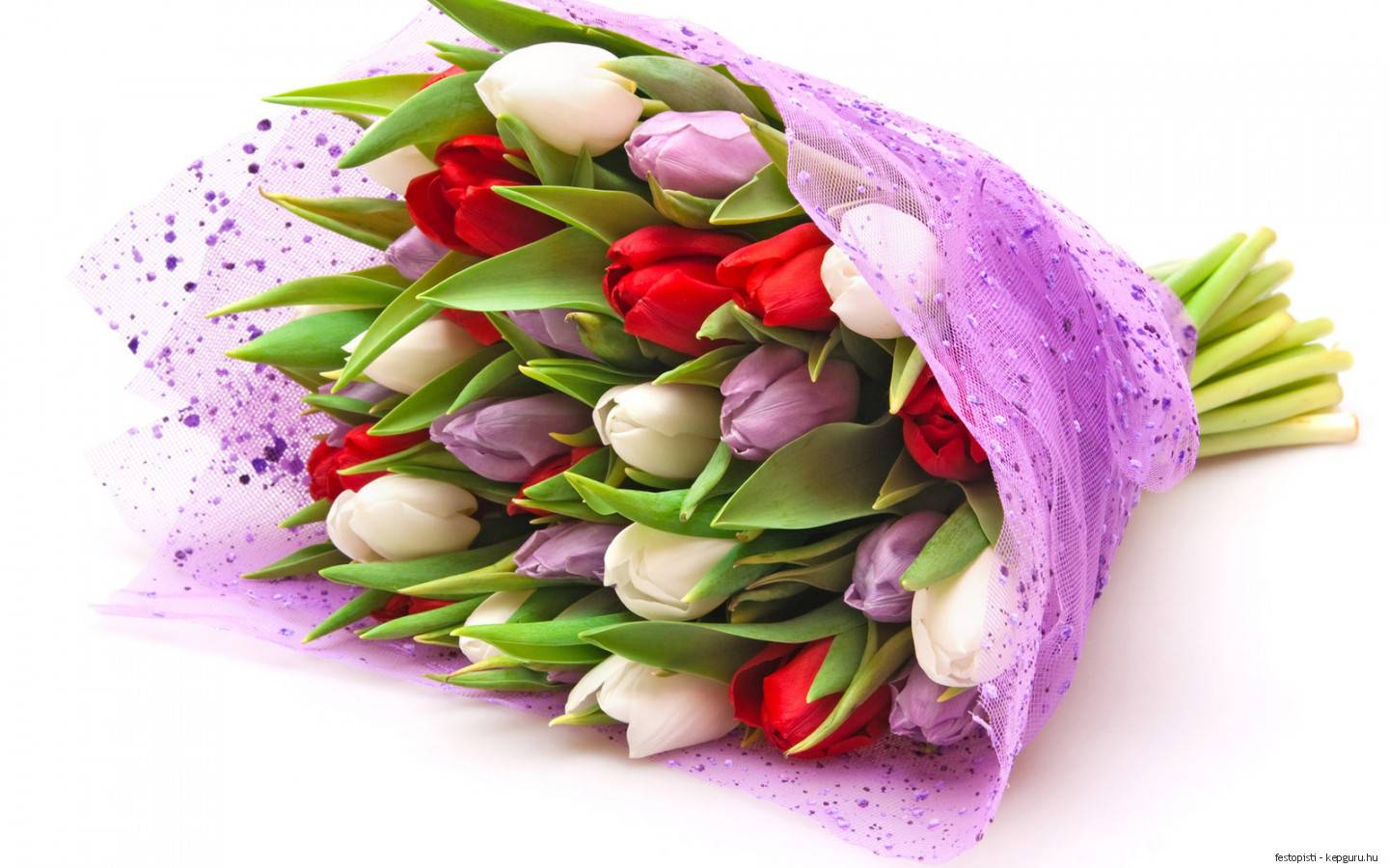flower3.jpg.jpeg