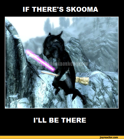 games-Skyrim-khajiit-skooma-819156.png.webp.png