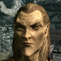 highelf.jpg.jpeg