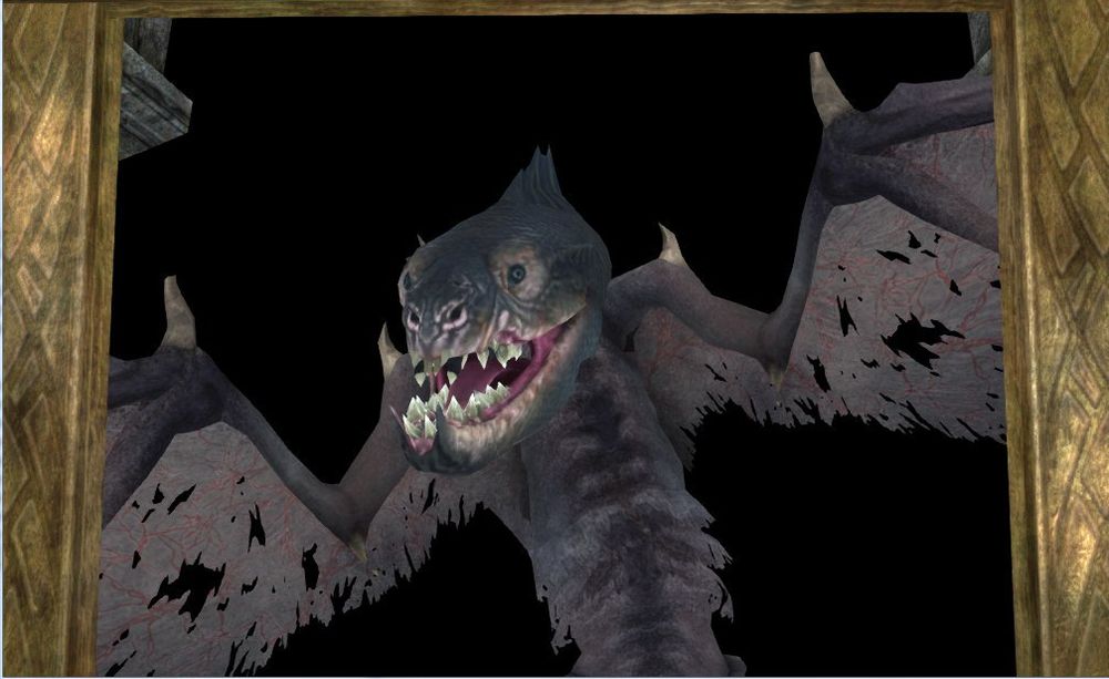 HR6EWXagZQY.jpg.jpeg
