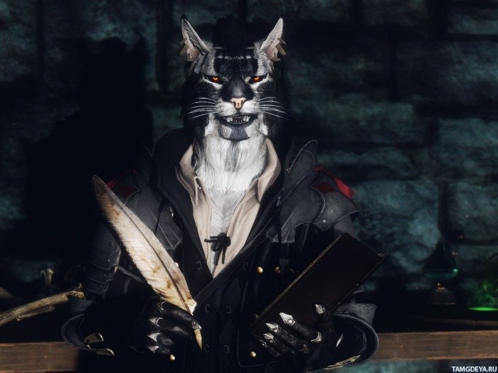 igra_The_Elder_Scrolls_khajiit_29753.jpg.jpeg