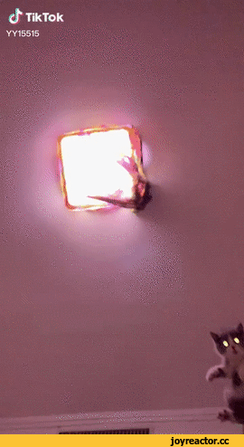 %D0%BA%D0%BE%D1%82%D1%8D-%D0%B3%D0%B8%D1%84%D0%BA%D0%B8-5293578.gif