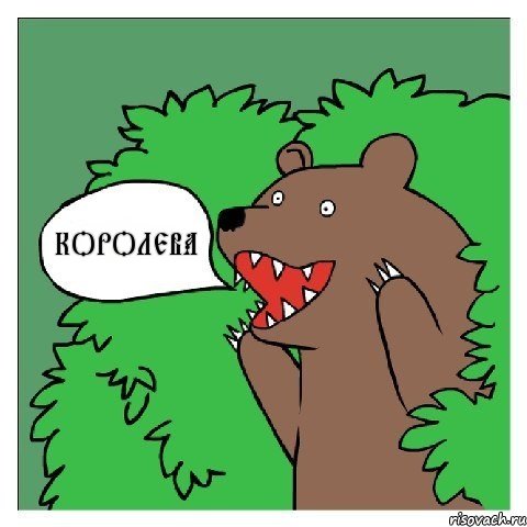 medved_51823399_orig_.jpg.jpeg