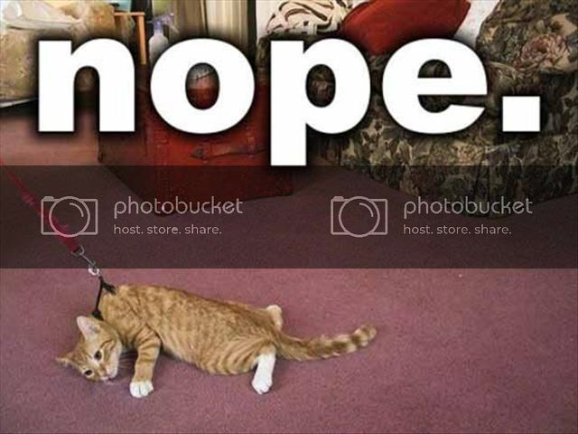 nope1_zps77c4f854.jpg.jpeg