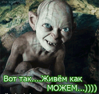 original.gif