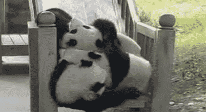 pandy.gif