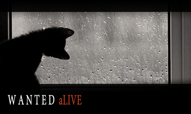 RPN-wantedalive.png.webp.png