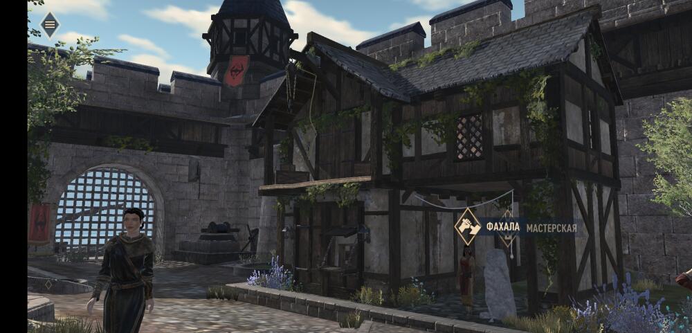 Screenshot_2020-05-12-02-36-03-751_com.bethsoft.blade.jpg