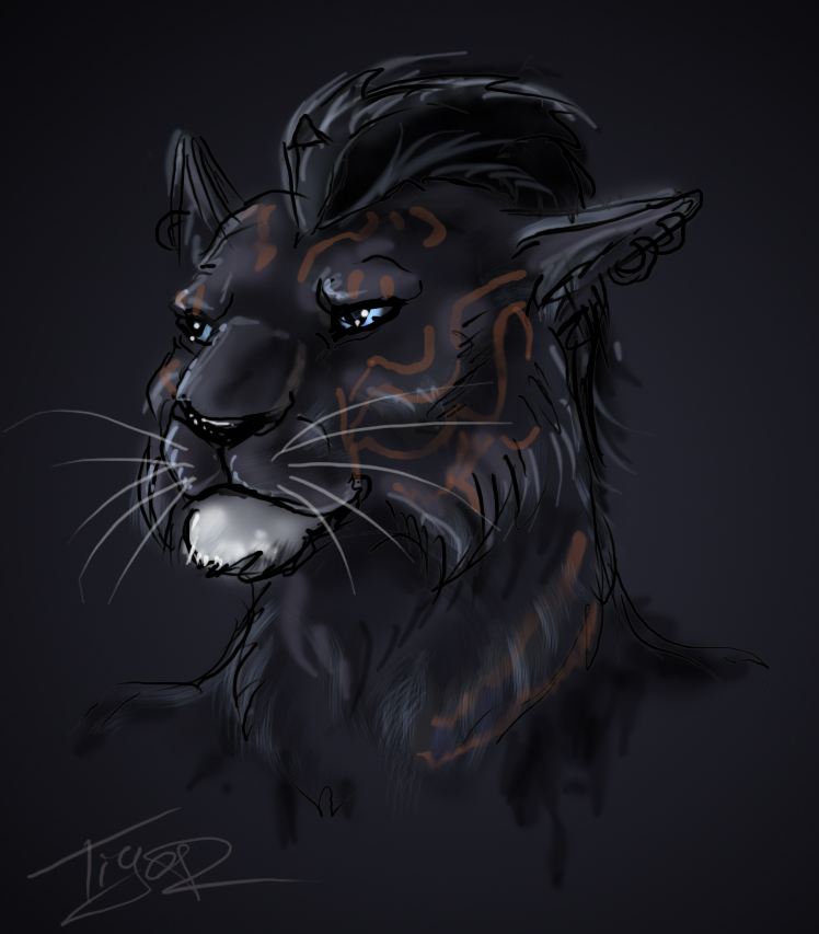 skyrim__dragonborn_khajiit_by_ti_r-d4yabmk.jpg.jpeg