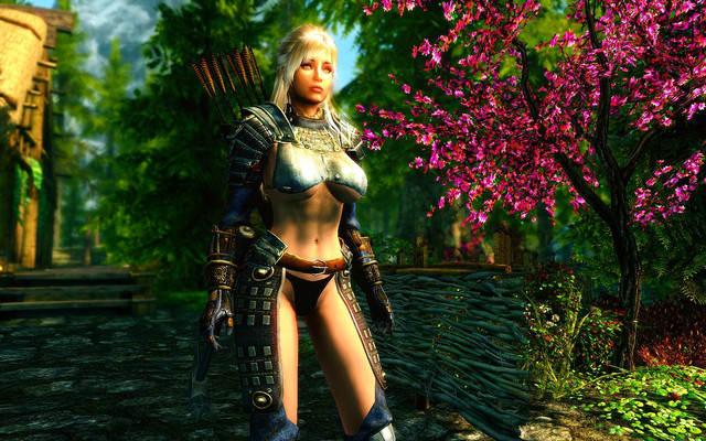 Skyrim_SE_2017_11_06_13_52_01_84.jpg.jpeg