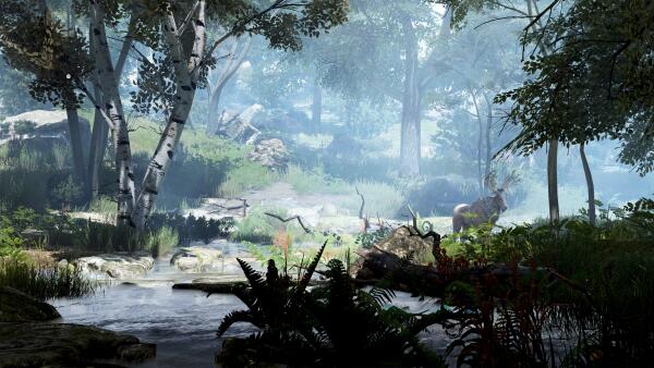 Black Desert
