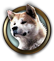 SoKeepWaiting_fromElli.png.png