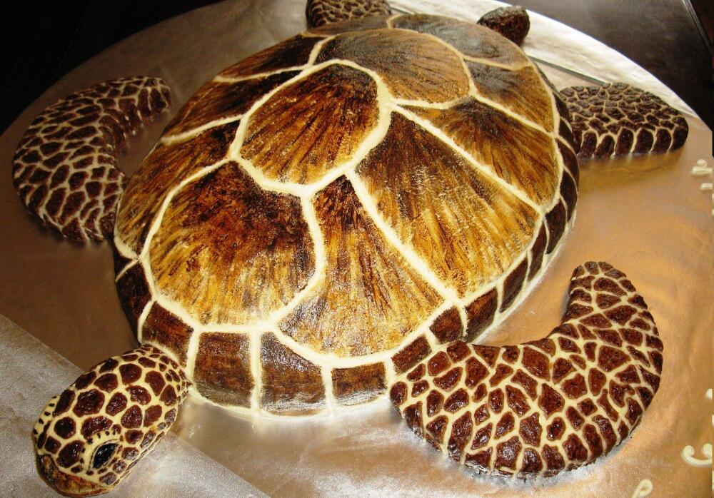 tort-cherepaha-klassicheskij-2000x1396.jpg.jpeg