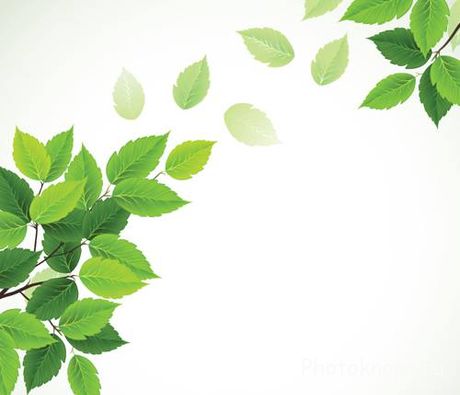 vector-nature-animals_1335900836415.jpeg