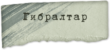 003.png.png