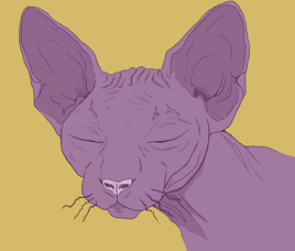 00806ac02cf21014bf3b47b68fc6c922.gif
