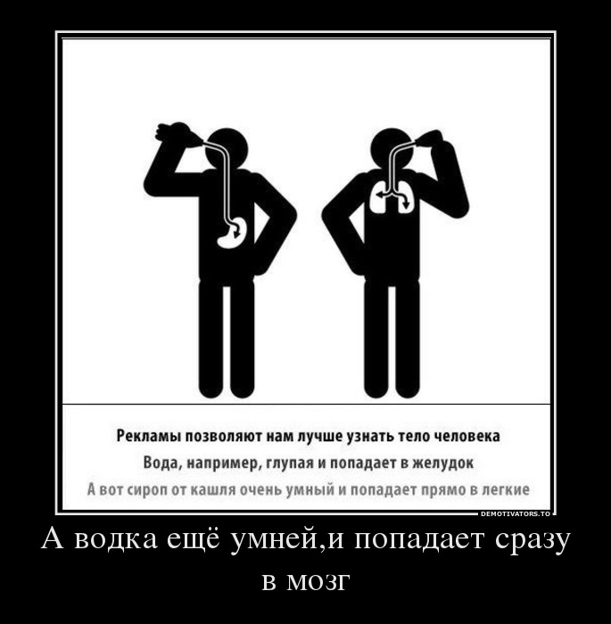 106462324_88720051_avodkaeschyoumnejipopadaetsrazuvmozg.jpg.jpeg