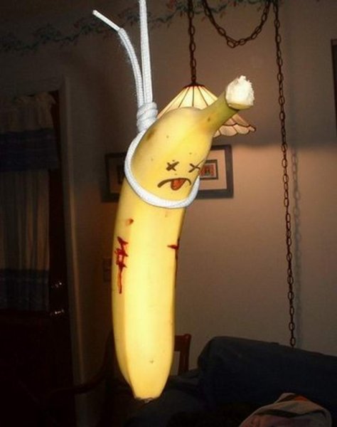 1416404_900.jpg.jpeg