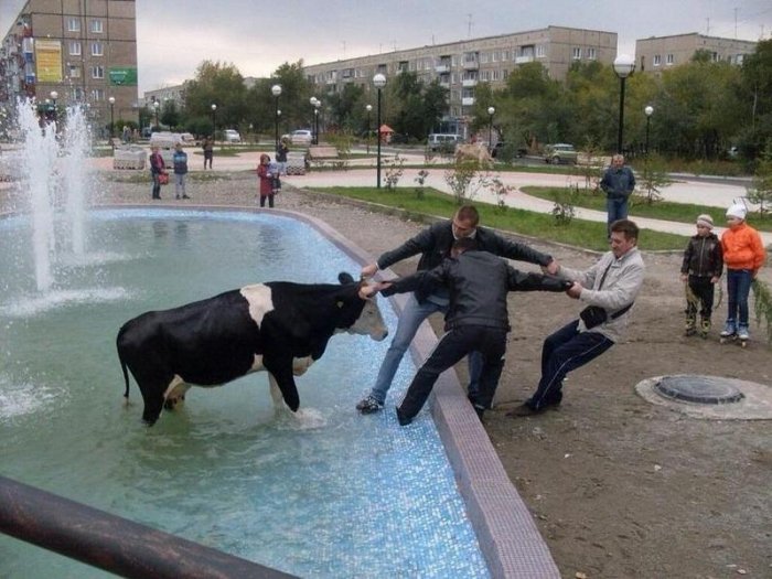 1431023476_3-takoe-tolko-v-rosiii_xaxa-net.ru.jpg.jpeg