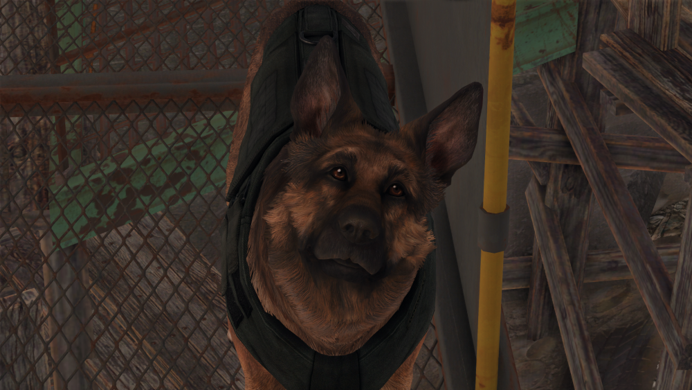1aa3587ef63b.png.png