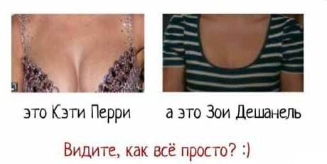 2_494395.jpg.jpeg