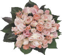 2db2656169a85b03de6887fc78031466.gif