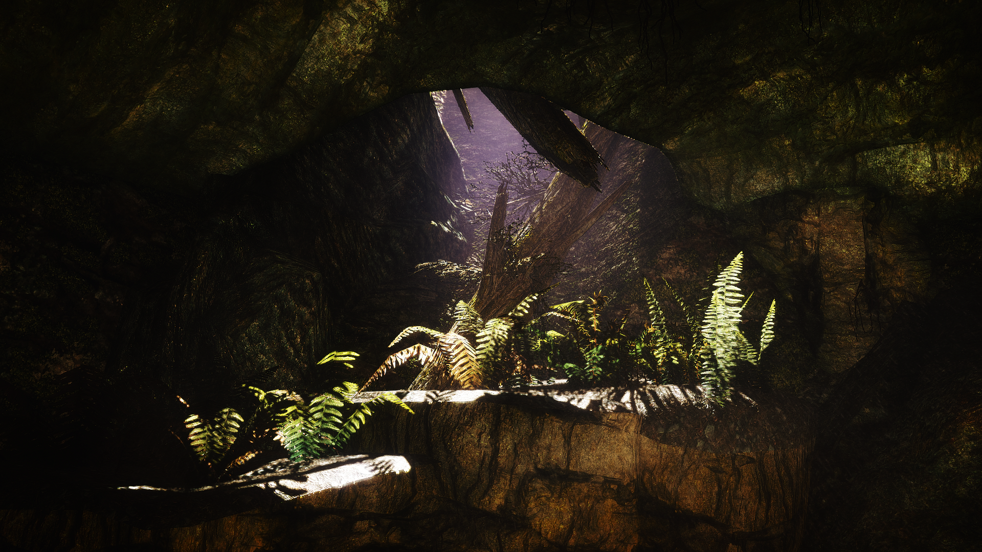 323a3ed083be.png.webp.png