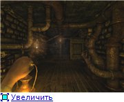 33545b700dadt.jpg.jpeg