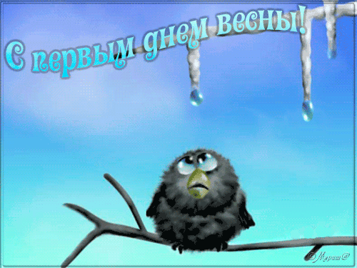 588404057.gif