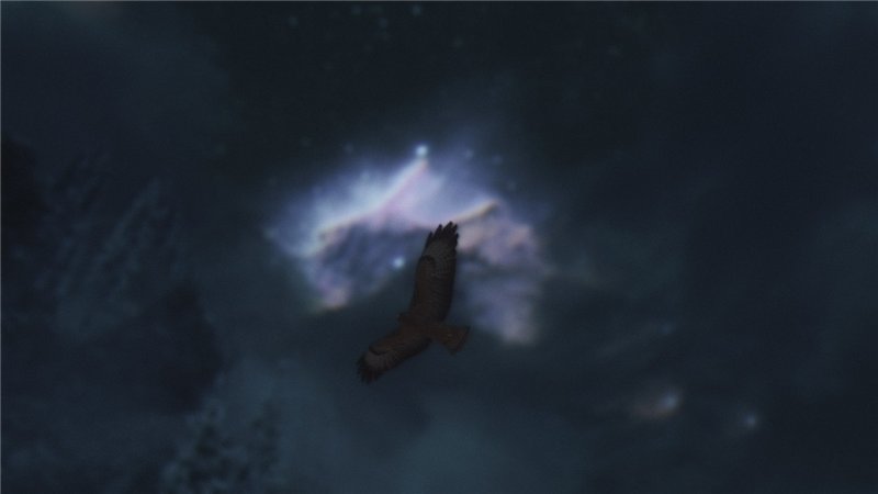 5e12b96f40f8.jpg.jpeg
