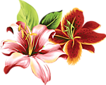 648708967.png.webp.png