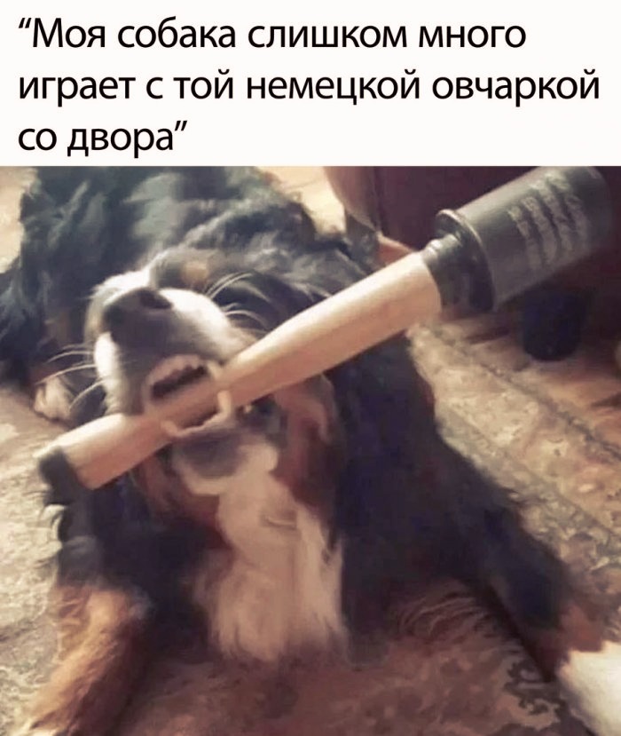 648dadb0d740150a4e6c4791e79dbd38.jpg.jpeg