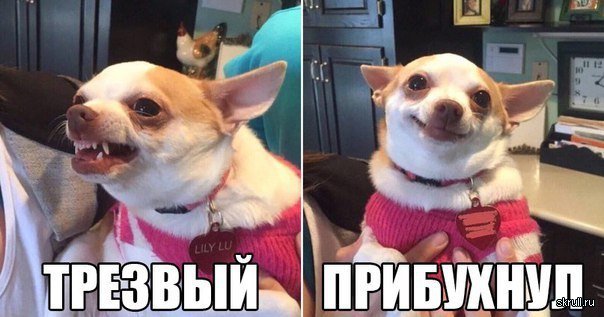 779168_original.jpg.jpeg