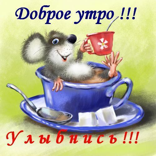 89582889__dobroe_utro_uluybnis.jpg.jpeg