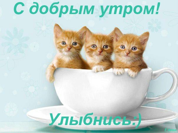 97653743_orig_c7fe74150ce6ffb4bb5563e889425acb.jpg.jpeg