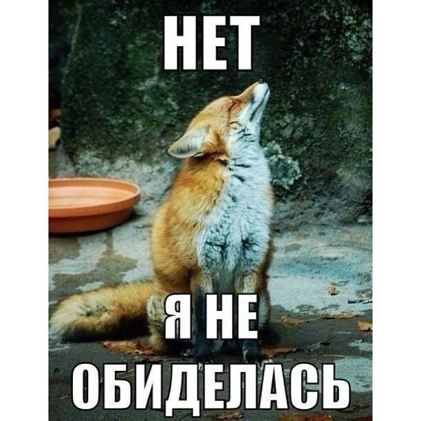 9a4cbf041c97478965cd292ba3b95032.jpg.jpeg