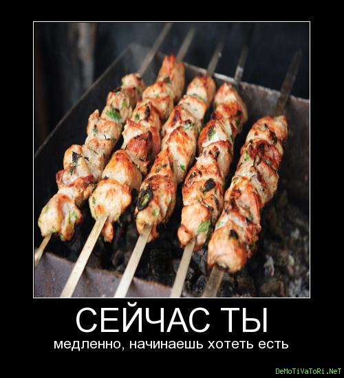 9dc89bb8ffb12eba106ce4bb2550fb11.png.png