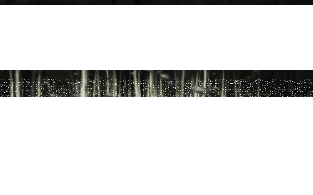 a0c684f3ee75857adfc9e8522530e3c9.png.png