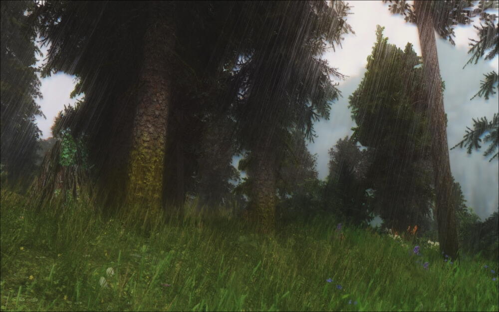 a9402d83e0a9.jpg.jpeg
