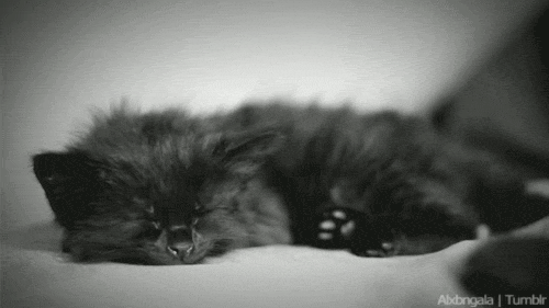 aaf86f99c9b8.gif
