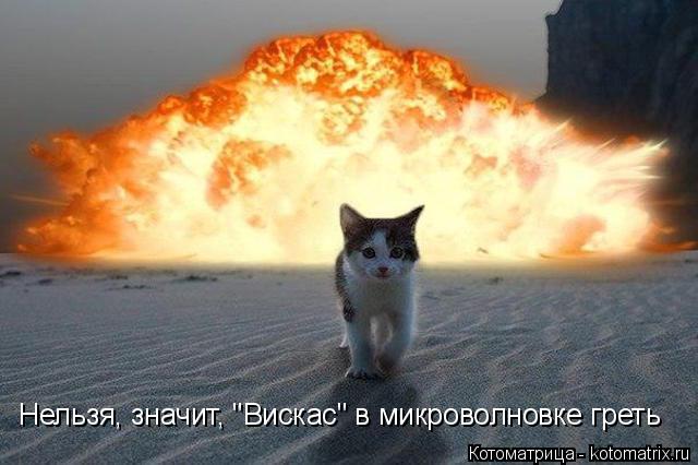 b64ddd7daa29.jpg.jpeg