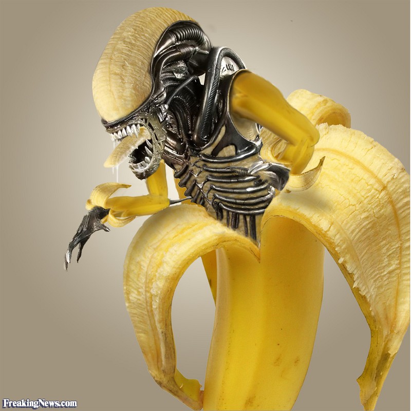 Banana-Alien--62111.jpg.jpeg