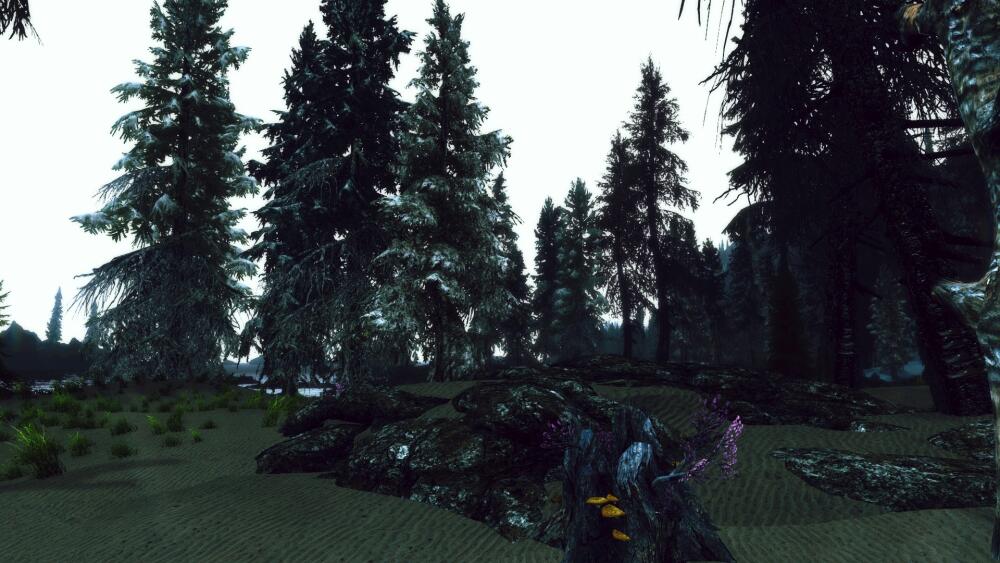CO1rdlP.jpg.jpeg
