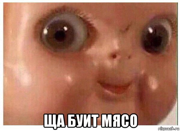 csha-buit-myaso_125248931_orig_.jpg.jpeg